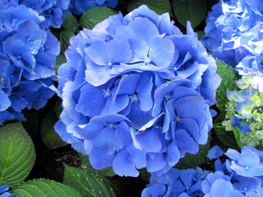 1046646 (a): :2560x1920